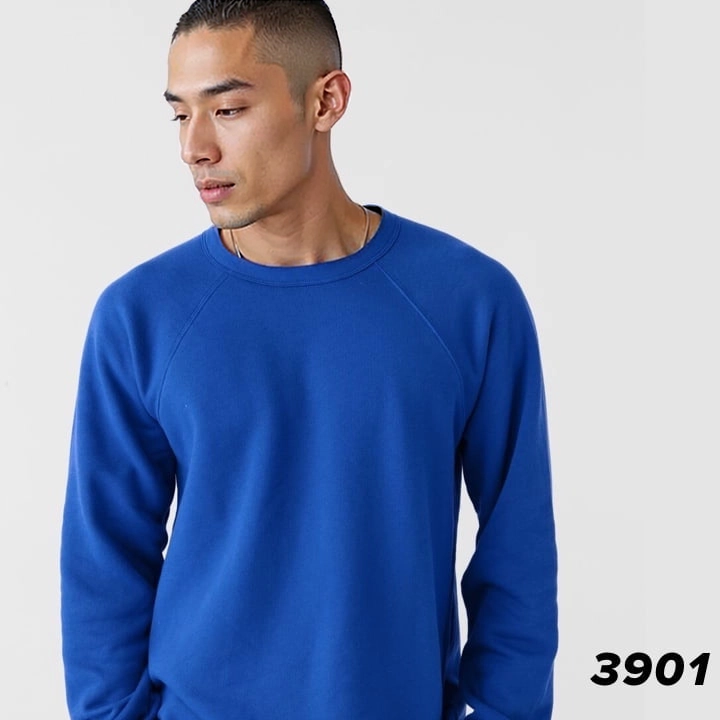 3901 UNISEX SPONGE FLEECE RAGLAN SWEATSHIRT in true royal. linking to product