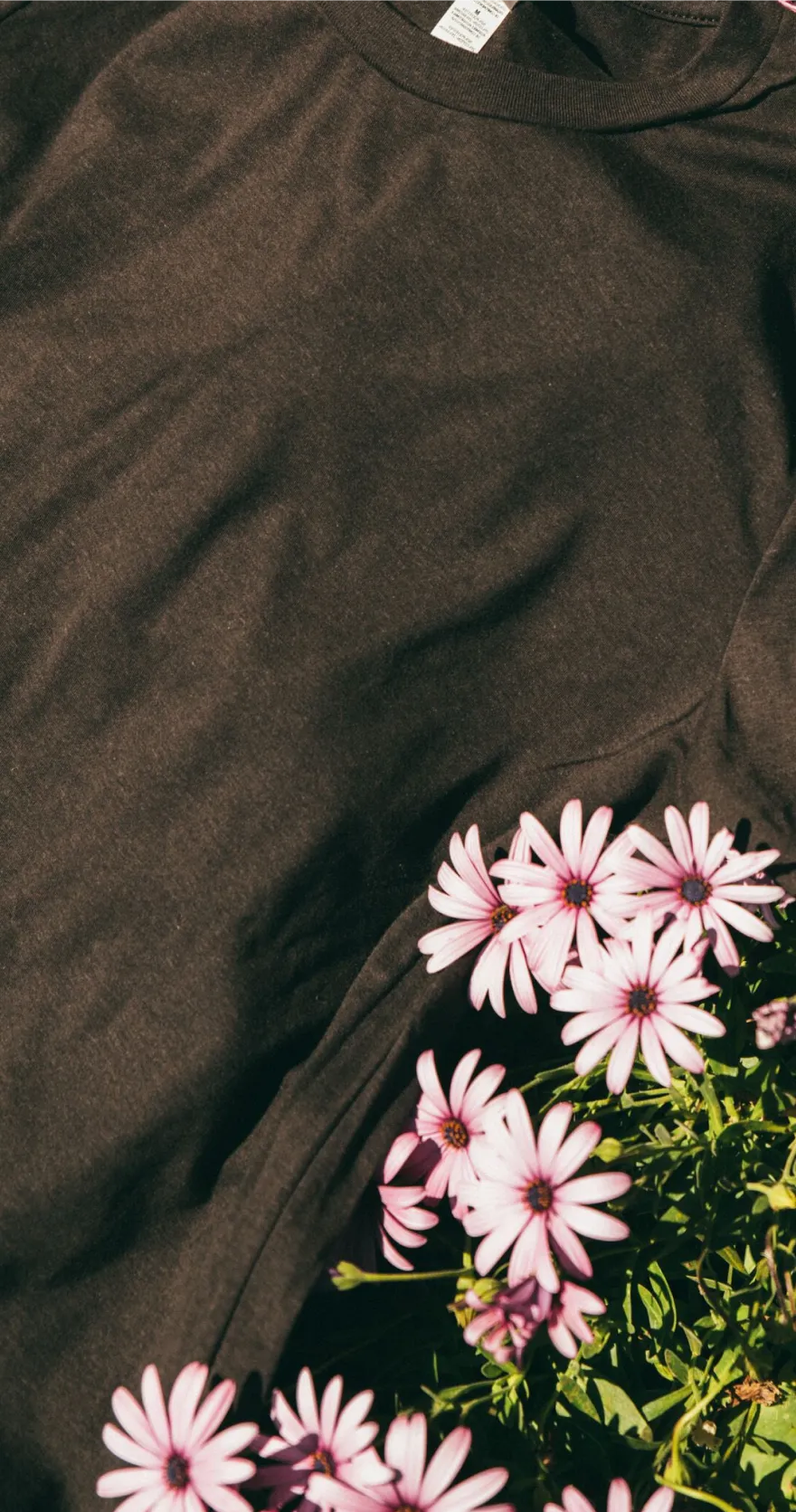 Dark colored BELLA+CANVAS T-shirt laying on grass with pink flower